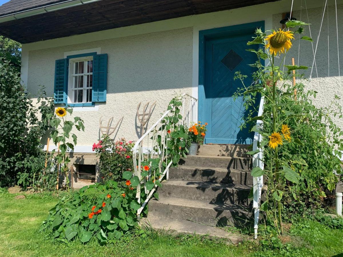 Kellerstoeckl Am Veganen Bio-Lebenshof "Varm - Die Vegane Farm" Lejlighed Sulb Eksteriør billede