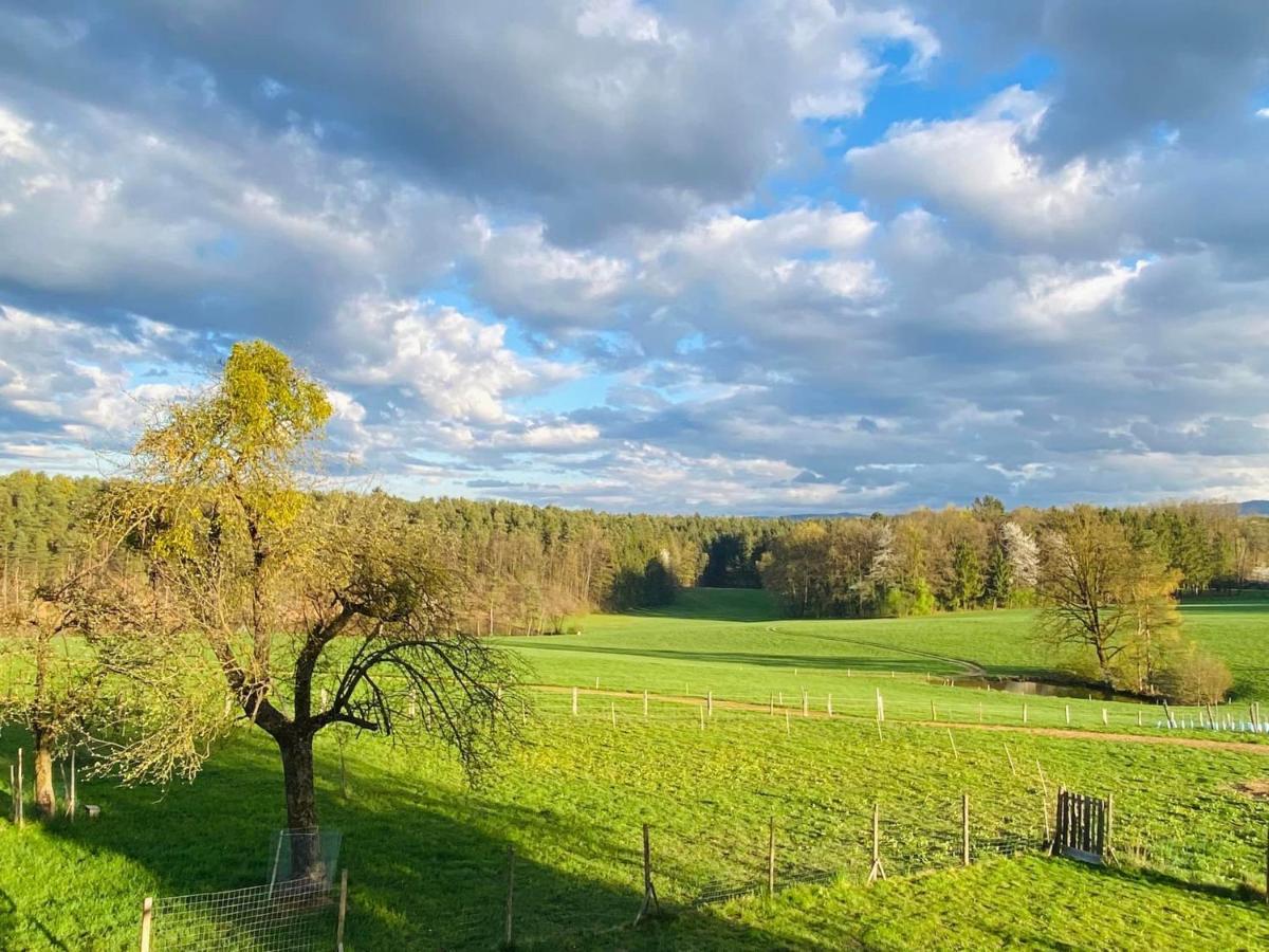 Kellerstoeckl Am Veganen Bio-Lebenshof "Varm - Die Vegane Farm" Lejlighed Sulb Eksteriør billede